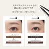 PARISBROW Slim Retouch Liquid 01/Natural Brown