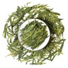 GOARTEA 2Pcs 250g / Total 17.6oz Spring Anji Bai Cha