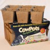 Park Seed CowPots 3-inch Tall Square Nitrogen-Rich Plant Seedling Starter,
