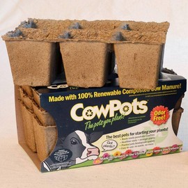 Park Seed CowPots 3-inch Tall Square Nitrogen-Rich Plant Seedling Starter, Set of 3 (6-Pack)