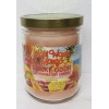 Smoke Odor 13 oz Candles 2 Fragrances Set Cinnamon Apple/Maui