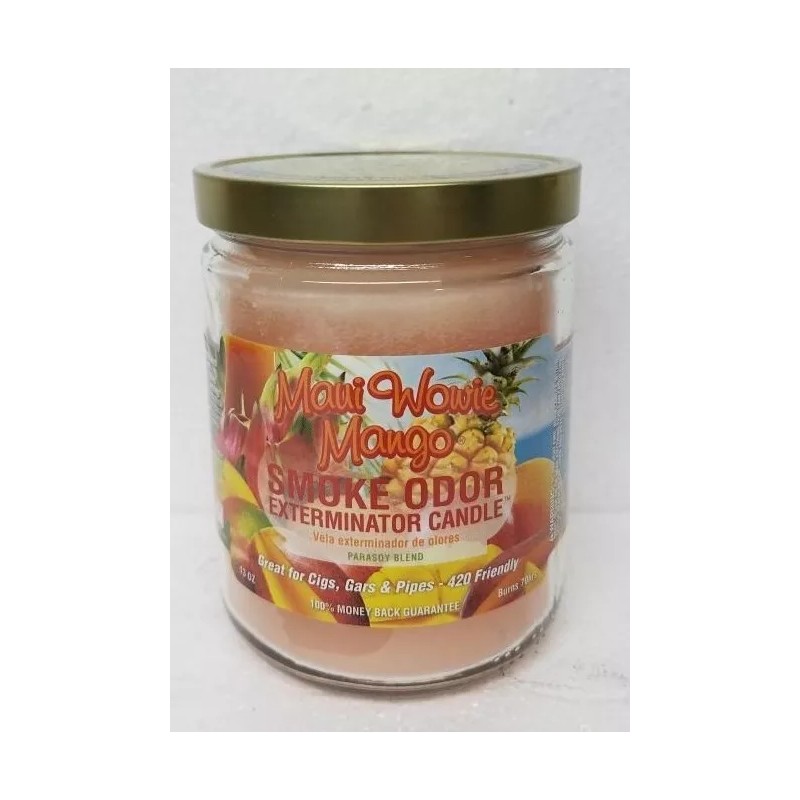 Smoke Odor 13 oz Candles 2 Fragrances Set Cinnamon Apple/Maui