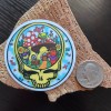 Grateful Dead & Co - Stealie Dancing Bears Mushroom Steal