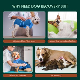 Kuoser Kuoser Dog Recovery Suit Female, Dog Surgery Suit Male Neuter, Dog Body Suits After Surgery Anti Licking Pet Surgical Suit for Abdominal Wounds Skin Disease, Soft Dog Onesie Substitute Cone, Blue 2XL