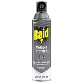 Raid Wasp & Hornet Killer Spray, Bug Killer Kills the Entire Nest, Kills Paper Wasps, Yellow Jackets, Mud Daubers and more, 17.5oz