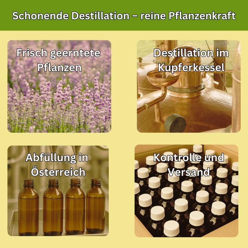 Organic Sage Hydrolate & Organic Pine Hydrolate - 2 x