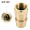 Aupoko A/C Retrofit Valve with Dust Cap, R12 R22 to