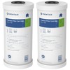Pentair Pentek RFC-BB Big Blue Carbon Water Filter, 10-Inch, Whole