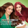 Kit Garnier Nutrisse Coloración Tono 30 Espresso + Retocador de