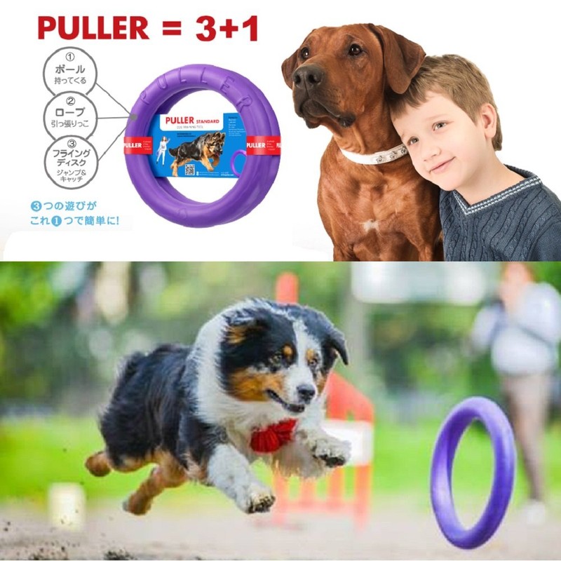 PULLER Midi Puller for Small and Medium Dogs
