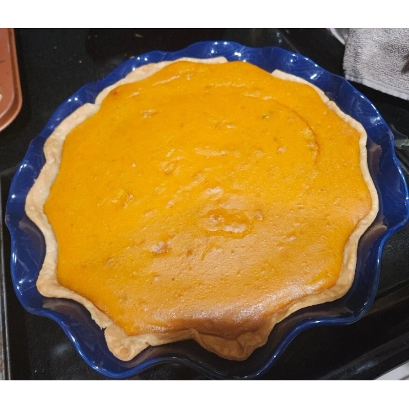 sunshine seed company Butternut Squash - Seeds - Organic -