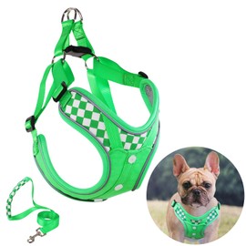 Dog Frenchie Harness with Leash Set, No Pull Adjustable Step in with Breathable Padded Vest Harness for Medium Dogs Training Running (Green, M)