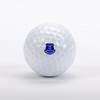 CaddyGolfStamps Everton Up The Toffees Football Design FC Golf Ball
