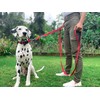 Tuff Pupper Heavy Duty Double Handle Dog Leash | Twist