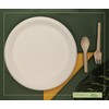 ECOWINGS 10 Inch Disposable Plates (Pack of 50) - EcoFriendly,