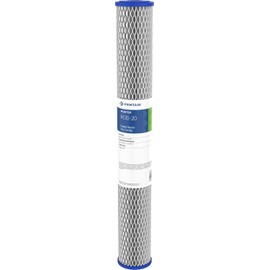 Pentair Pentek R30-20 Sediment Water Filter, 20-Inch, Whole House Pleated Polyester Filter Cartridge, 20" x 2.5", 30 Micron, White, 1 Count (Pack of 1)
