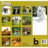 2026 Dogs Full Size Wall Calendar for Planning, Scheduling, and