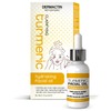 Dermactin-TS Turmeric Hydrating and Clarifying Facial Oil - Tumeric Face