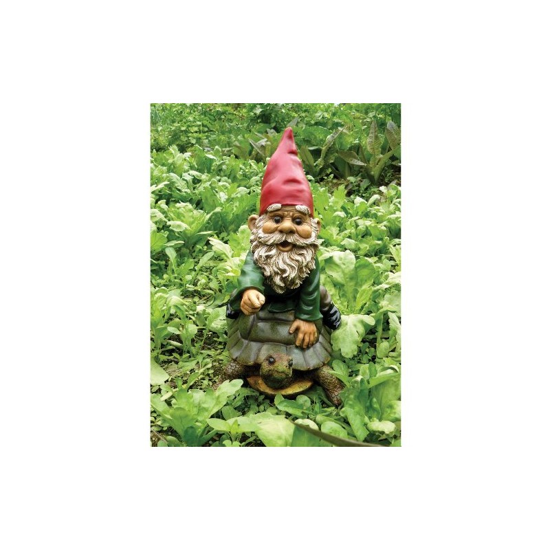 Garrold Gnome on a Turtle by Michael Carr Designs -