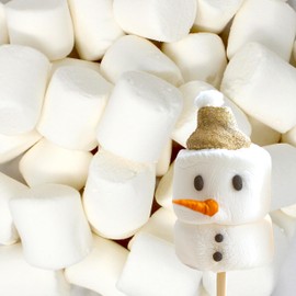 Large Marshmallows - 1 lb, Vanilla Flavored,Kosher, Nut-Free, Gluten-Free - Perfect for S'mores, Camp Fire Baking, & More