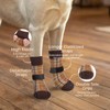 EXPAWLORER Dog Socks to Prevent Licking Paws, 4 Pcs Double