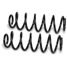 BESTPRICE 2x Suspension Springs Rear Left & Right Compatible with VW Golf 6 (5K1)