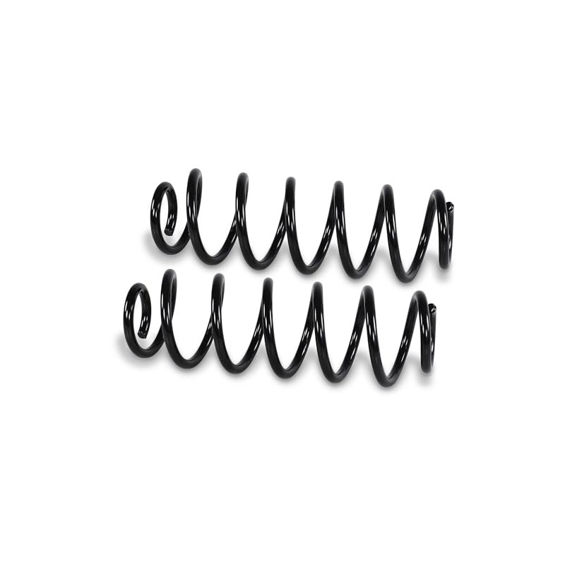 BESTPRICE 2x Suspension Springs Rear Left & Right Compatible with