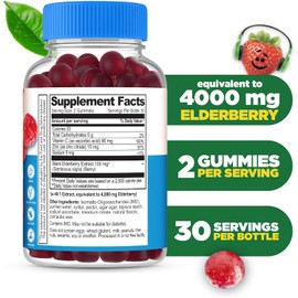 Lifeable Sugar Free Elderberry Gummies for Kids with Vitamin C and Zinc | Kids Immune Support Supplement | Great Tasting Elderberry Gummies | Vegan, Non GMO, Kosher Gluten Free | 60 Gummies