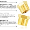 TAILONZ PNEUMATIC Brass Threaded Pipe Fitting 1/4 Inch BSP Male