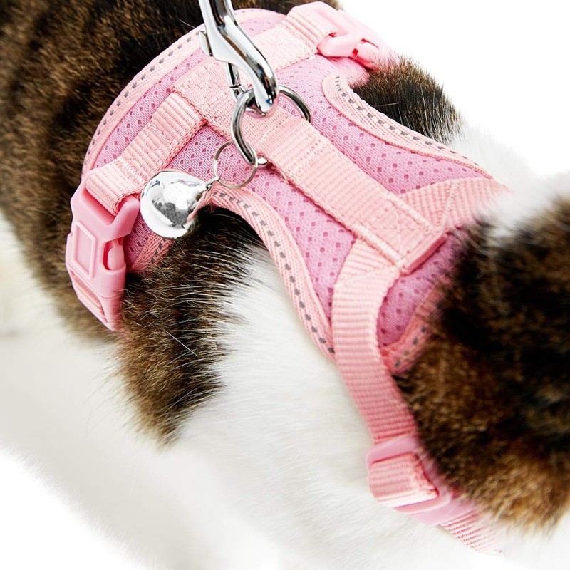 Blueberry Pet 5 Patterns Diagonal Striped/Reflective Cat Harness & Leash