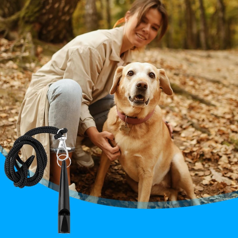 Lotsdonxia Dog Training Whistle with Lanyard – Lightweight High-Pitch Recall