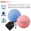 Como Life Full Body Stretch Balls, Set of 2 Colors,