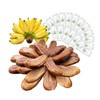 Organic Sun Dried Bananas Value Pack - Dried Fruit Individual