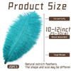 iHUFeather 20pcs Peacock Blue Ostrich Feathers Natural Bulk 10-12Inch 25-30cm