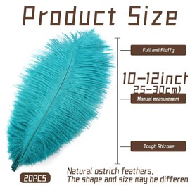 iHUFeather 20pcs Peacock Blue Ostrich Feathers Natural Bulk 10-12Inch 25-30cm for Wedding Party Centerpieces Easter and Home Decorate Ostrich Feathers