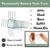 Excluder One Way Squirrel and Rodent Trap - Control Mice,