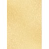 ASTAR 10 Sheets of Certificates, Printable Award Paper, Writable Legal