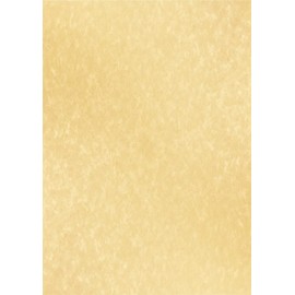 ASTAR 10 Sheets of Certificates, Printable Award Paper, Writable Legal Documents, Print Important Documents, Academic Certificates, Fine Art Paper, Parchment, Promotional Paper, Certificates,