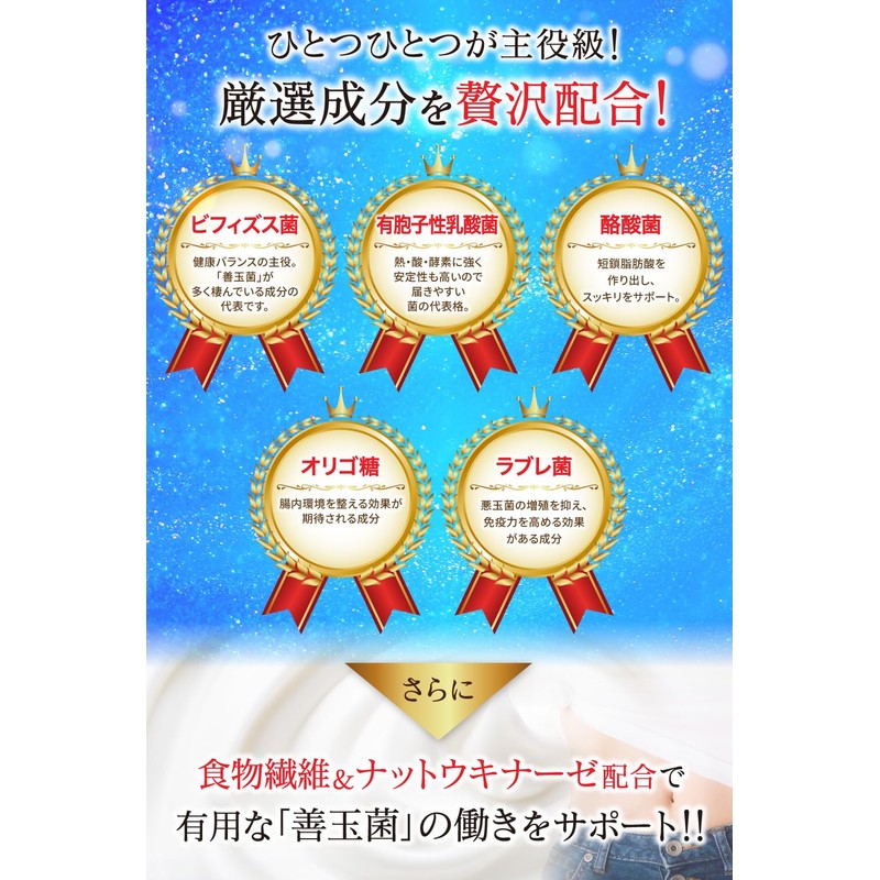 元気を届ける乳酸菌＆ビフィズス菌 PREMIUM 乳酸菌 17種類 乳酸菌 6種類 ビフィズス菌 ６兆個の菌 酪酸菌 イヌリン