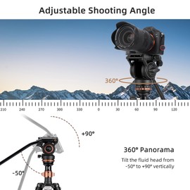 Cayer AF2451 Video Tripod with Fluid Head, 74.6" Convertible Aluminum Tripod to Monopod, 13.2 lbs Payload, Half Ball Leveling Base for DSLR Cameras and Video Recording