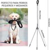 Correa de Paseo Triple y Extensible para Perros – Sistema