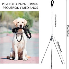Correa de Paseo Triple y Extensible para Perros – Sistema 3 en 1 de Alta Resistencia (Negro)