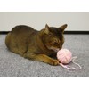 CattyMan Puffed Cat Nyanko Ball Pastel