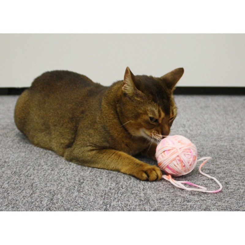 CattyMan Puffed Cat Nyanko Ball Pastel