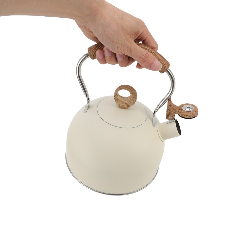 2.5 Liter Whistling Tea Kettle Stainless Steel Teapot with Handle