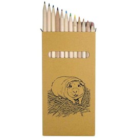 Azeeda 12 x 'Guinea Pig' Long 178mm Coloured Pencils/Pencil Set (PE00066655)