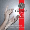 LARSEN STRINGS violin strings Il CANNONE G Soloist Direct&Focused