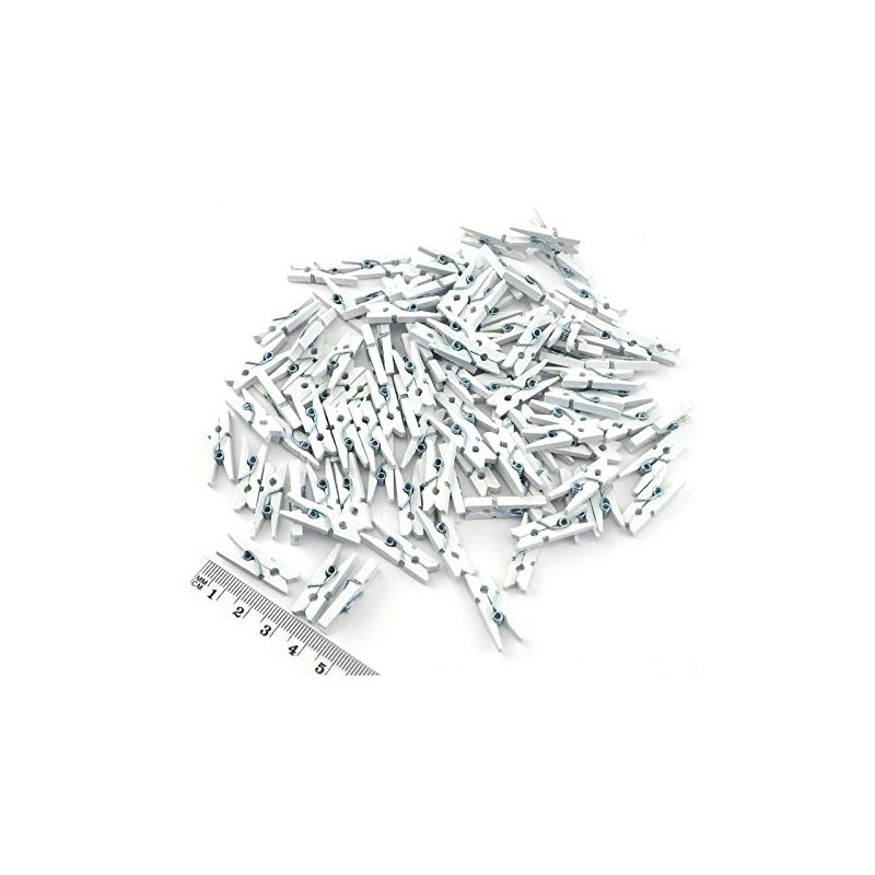 Sepkina 100 Small Cute Mini Decorative Pegs, Clips, Decorative Pegs,