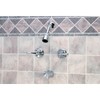 GLOBE UNION F2014501CP-JPA1 2-Metal Lever Handle Chrome Tub/Shower Faucet