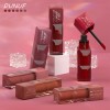 Q6piece Easyapply Matte Lip Gloss Set Q
